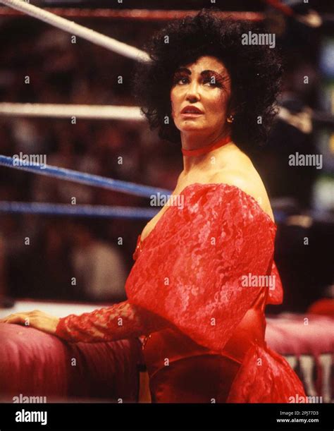 sherri martel relationships|WrestlingEpicenter.com